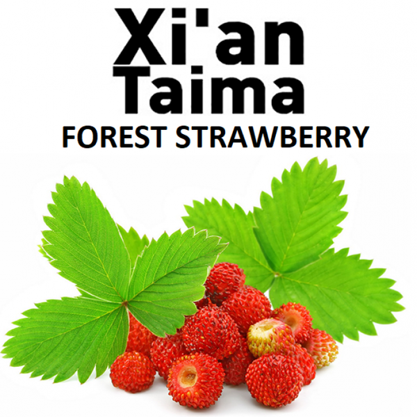 Ароматизатор Xi`an Forest Strawberry (Земляника)