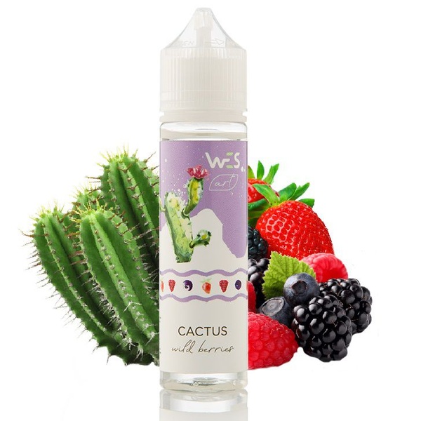 Жидкость WES ART Cactus, 60 мл